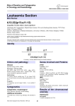 Leukaemia Section t(12;22)(p13;q11-12) Atlas of Genetics and Cytogenetics in Oncology and Haematology