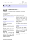 Gene Section E2F6 (E2F transcription factor 6) Atlas of Genetics and Cytogenetics
