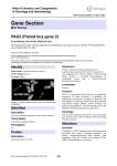 Gene Section PAX2 (Paired box gene 2) Atlas of Genetics and Cytogenetics