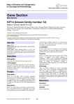 Gene Section KIF14 (kinesin family member 14) Atlas of Genetics and Cytogenetics