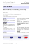 Gene Section S100A13 (S100 calcium binding protein A13) in Oncology and Haematology