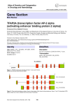 Gene Section TFAP2A (transcription factor AP-2 alpha Atlas of Genetics and Cytogenetics