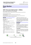 Gene Section YAP1 (Yes-associated protein 1, 65kDa) Atlas of Genetics and Cytogenetics