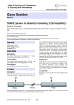 Gene Section SIAH2 (seven in absentia homolog 2 (Drosophila))