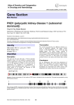 Gene Section PKD1 (polycystic kidney disease 1 (autosomal dominant))