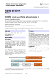 Gene Section DUSP6 (dual specificity phosphatase 6)  Atlas of Genetics and Cytogenetics