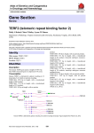 Gene Section TERF2 (telomeric repeat binding factor 2)