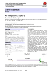 Gene Section ACTN4 (actinin, alpha 4) Atlas of Genetics and Cytogenetics
