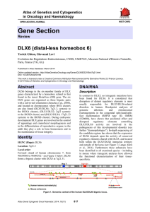 Gene Section DLX6 (distal-less homeobox 6) Atlas of Genetics and Cytogenetics