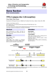 Gene Section YPEL3 (yippee-like 3 (Drosophila)) Atlas of Genetics and Cytogenetics