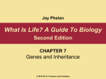 What Is Life? A Guide To Biology Second Edition Genes and Inheritance