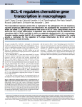 BCL-6 regulates chemokine gene transcription in macrophages