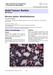 Solid Tumour Section Nervous system: Medulloblastoma Atlas of Genetics and Cytogenetics