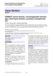 Gene Section SEMA3F (sema domain, immunoglobulin domain 3F)