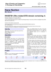 Gene Section RHOBTB1 (Rho-related BTB domain containing 1) in Oncology and Haematology