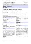 Gene Section LIN28B (lin-28 homolog B (C. elegans)) in Oncology and Haematology