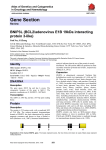 Gene Section BNIP3L (BCL2/adenovirus E1B 19kDa interacting protein 3-like)