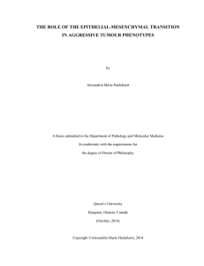 THE ROLE OF THE EPITHELIAL-MESENCHYMAL TRANSITION IN AGGRESSIVE TUMOUR PHENOTYPES