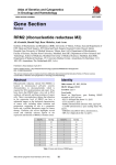 Gene Section RRM2 (ribonucleotide reductase M2) Atlas of Genetics and Cytogenetics