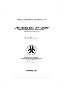 Antibiotic Resistance in Wastewater