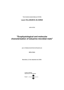 &#34;Ecophysiological and molecular characterization of estuarine microbial mats&#34;  Laura VILLANUEVA ÁLVAREZ