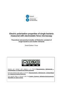 Electric polarization properties of single bacteria measured with electrostatic force microscopy