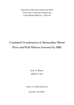 Department of Biomedical Engineering (IMT) Master thesis in Biomedical Engineering LiTH-IMT/MASTER-EX--11/008--SE