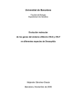 Universitat de Barcelona Evolución molecular OS-E en diferentes especies de Drosophila