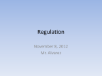 Regulation November 8, 2012 Mr. Alvarez