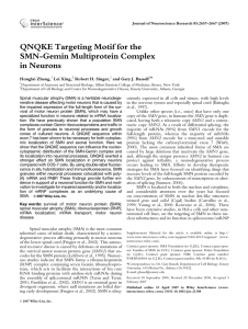 QNQKE Targeting Motif for the SMN-Gemin Multiprotein Complex in Neurons *