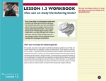 LESSON 1.3 WORKBOOK