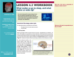 LESSON 4.3 WORKBOOK What makes us go to sleep, and what