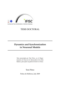 TESIS DOCTORAL Dynamics and Synchronization in Neuronal Models