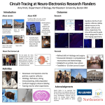 Circuit-Tracing at Neuro-Electronics Research Flanders Introduction Outcomes