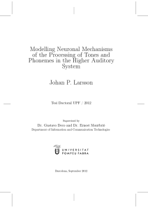 Modelling Neuronal Mechanisms of the Processing of Tones and System