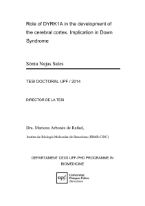Sònia Najas Sales Role of DYRK1A in the development of Syndrome