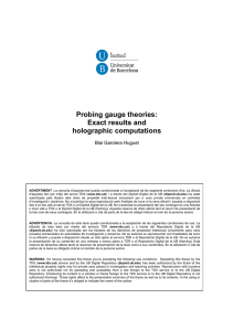 Probing gauge theories: Exact results and holographic computations