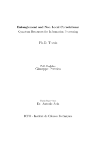 Ph.D. Thesis Giuseppe Prettico
