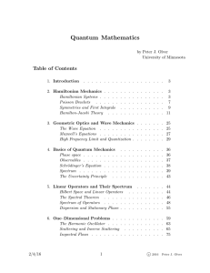 Quantum Mathematics Table of Contents