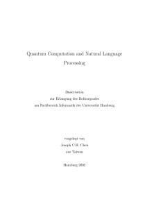 Quantum Computation and Natural Language Processing