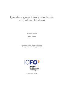 Quantum gauge theory simulation with ultracold atoms