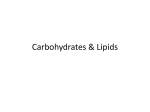 Carbohydrates &amp; Lipids