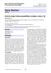 Gene Section HLA-G (major histocompatibility complex, class I, G)