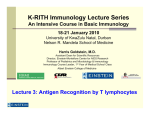 Lecture 3: Antigen Recognition by T lymphocytes
