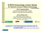 Lecture 8: The Development and Survival of Lymphocytes (