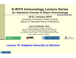 Lecture 10: Adaptive Immunity to Infection