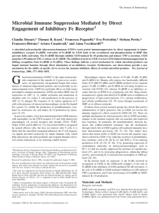 Microbial Immune Suppression Mediated by Direct Engagement of Inhibitory Fc Receptor