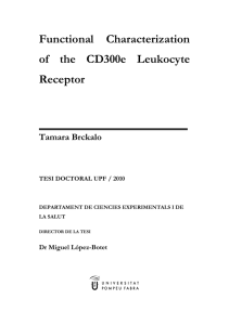 Functional Characterization of the CD300e Leukocyte Receptor Tamara Brckalo