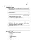 15-3 Aim:  Respiratory System (A)  RESPIRATORY SYSTEM