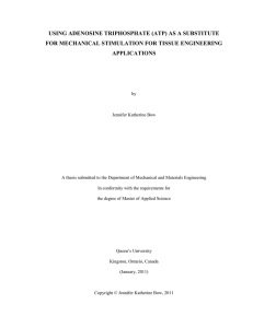 USING ADENOSINE TRIPHOSPHATE (ATP) AS A SUBSTITUTE APPLICATIONS